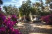 Savannah's Bonaventure Cemetery Tour, Georgia