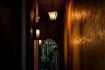 Charleston pub crawl and true crime dark alley